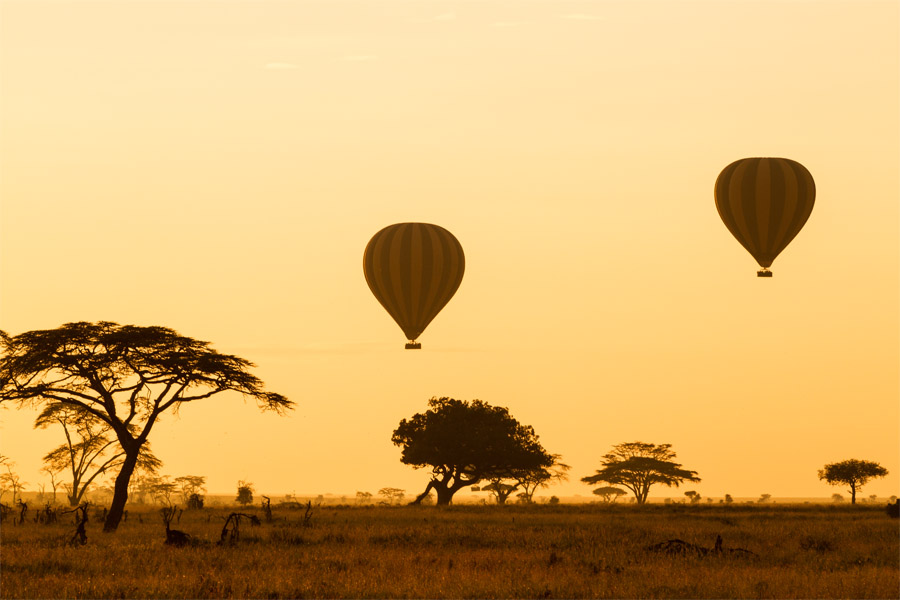 serengeti_sunrise