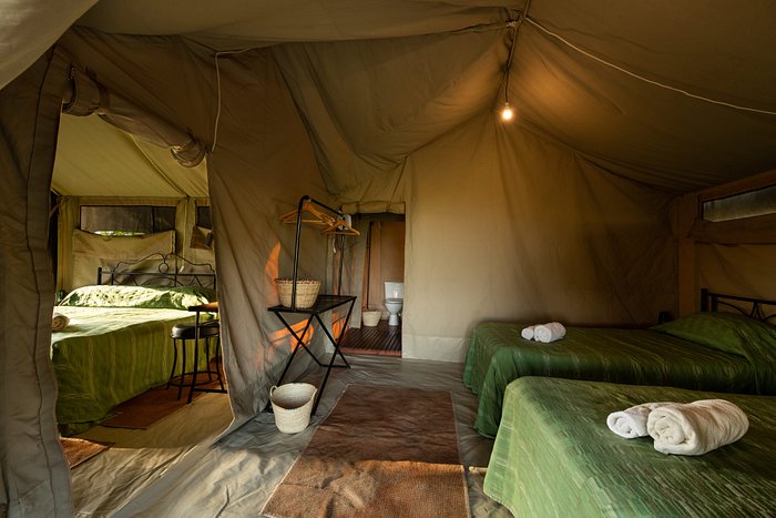 Serengeti Kati Kati Family Room