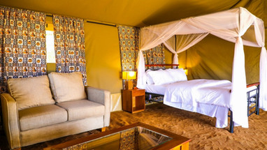 Into-The-Wild.room-TANZANIA SAFARI