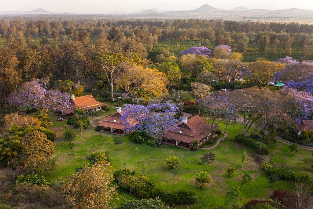 tanzania luxury safari