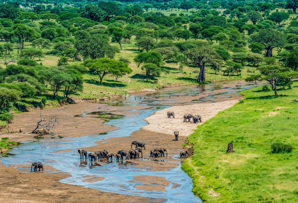 tarangire safari-travelbookingguide