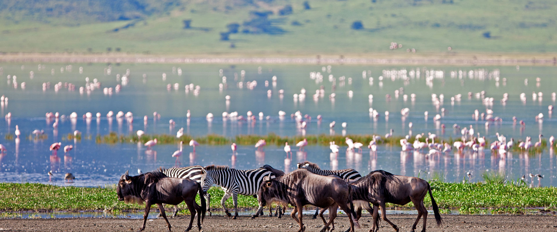 Ngorongoro crater-travelbookingguide
