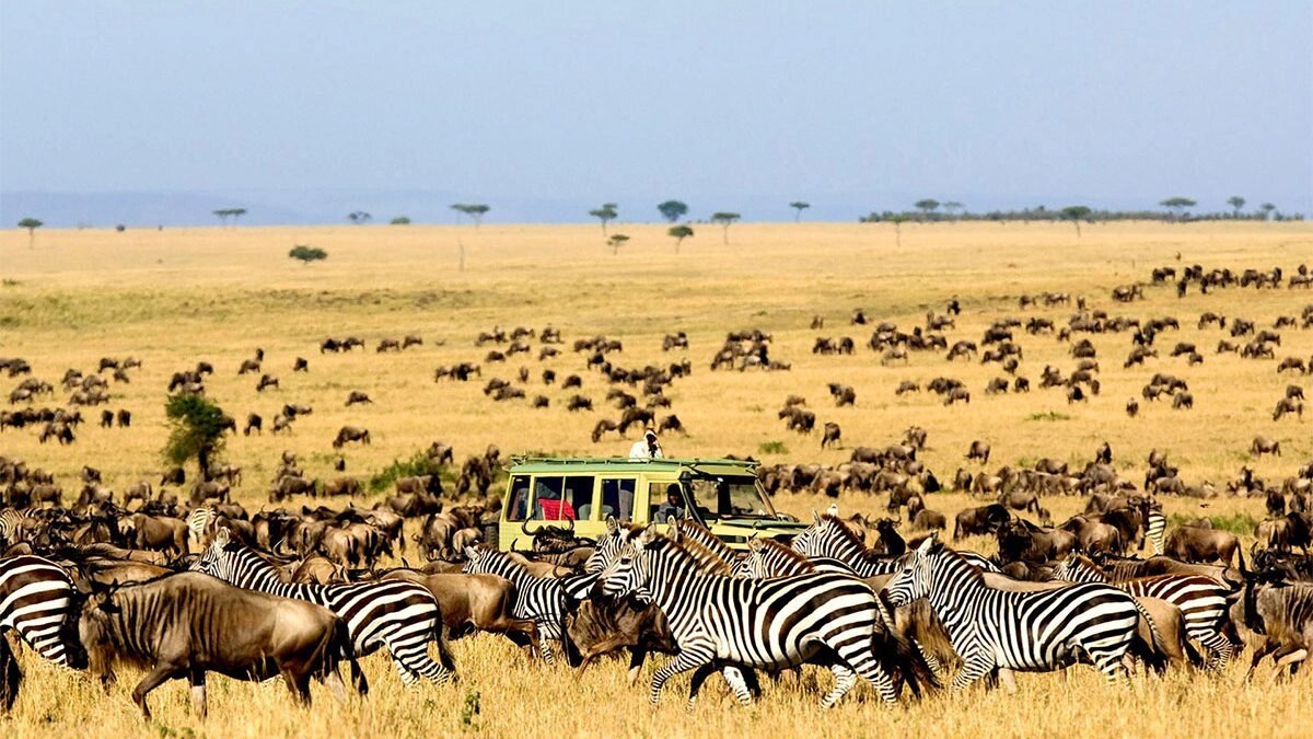 Serengeti_National_Park_Tanzania_Guide_To_Tanzania_Safari