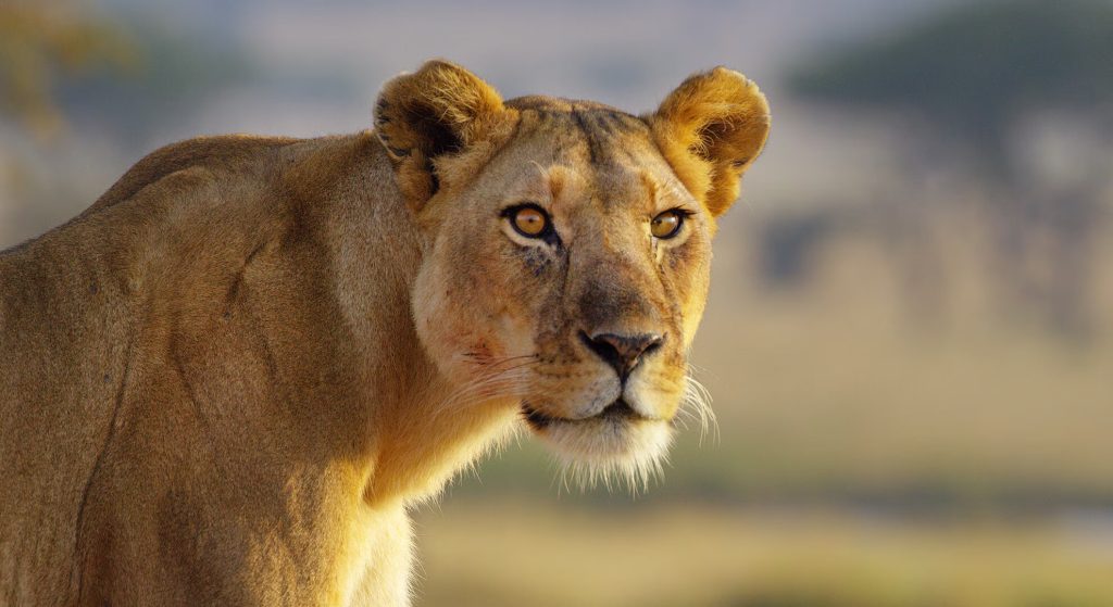 Best to travel to Tanzania