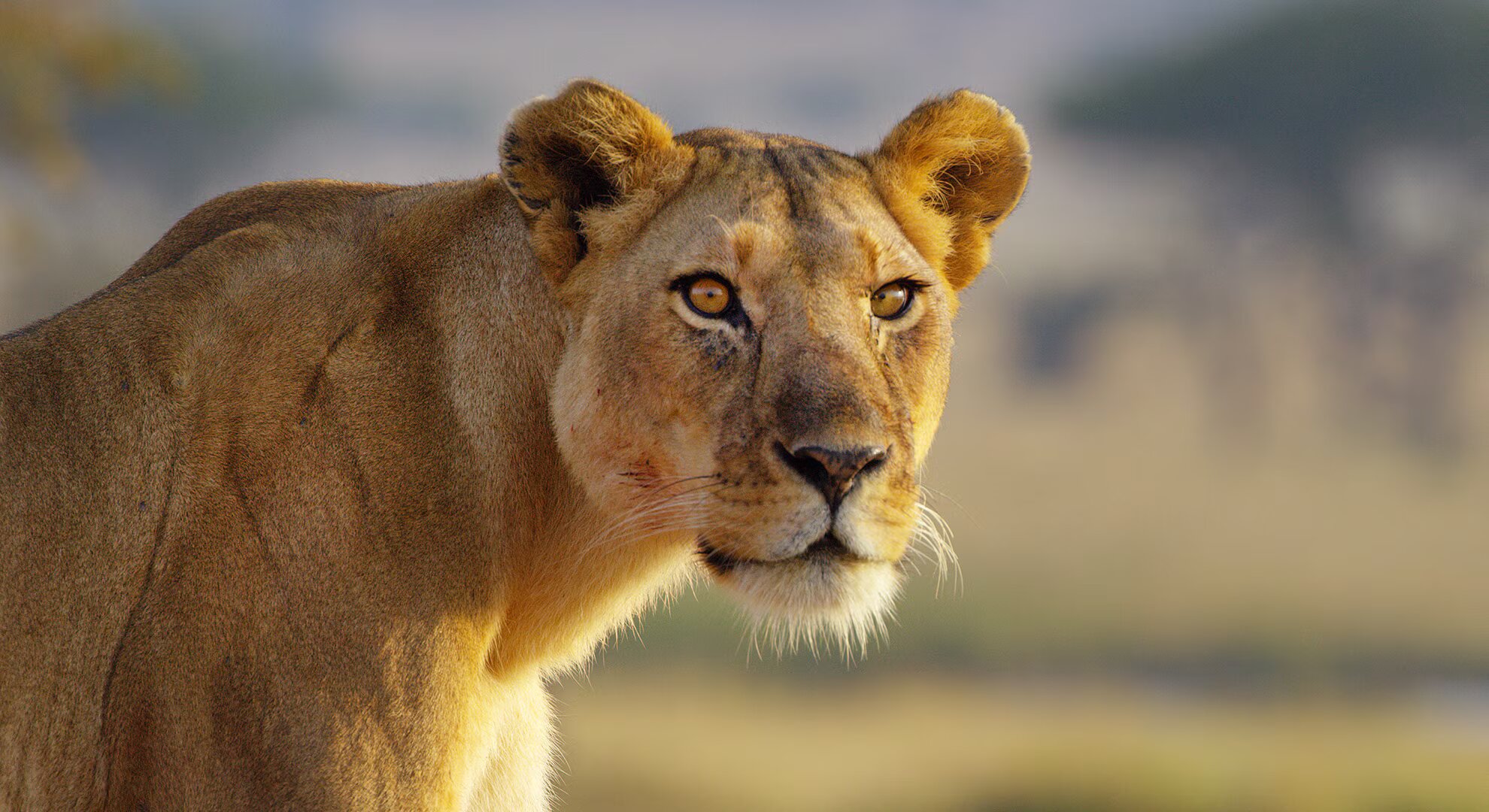 Best to travel to Tanzania