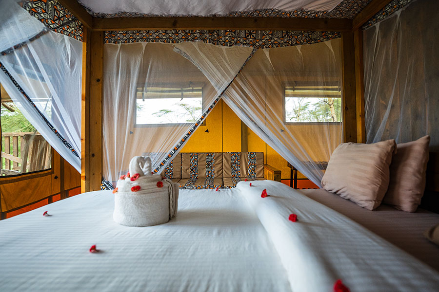 Tanzania Safari