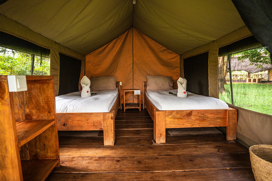 TANZANIA SAFARI