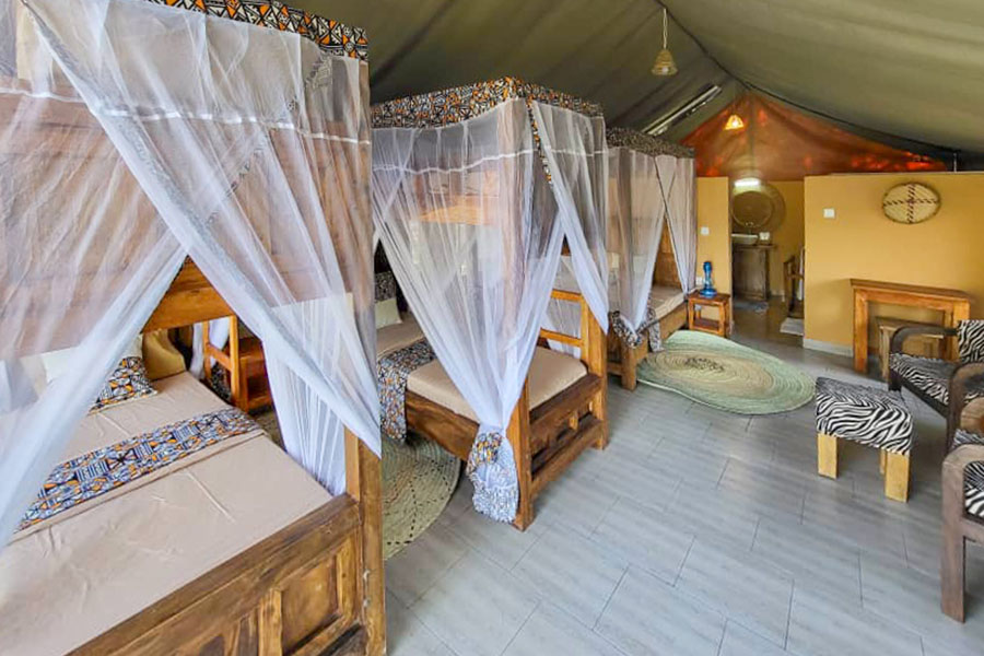 TANZANIA SAFARI