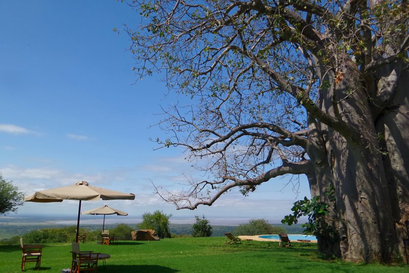 Tanzania Safari-Migombani Campsite