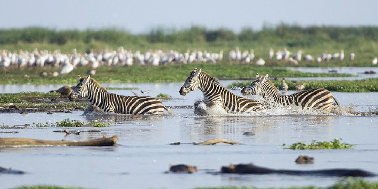 lake_manyara_national_park_Guide_To_Tanzania_Safari