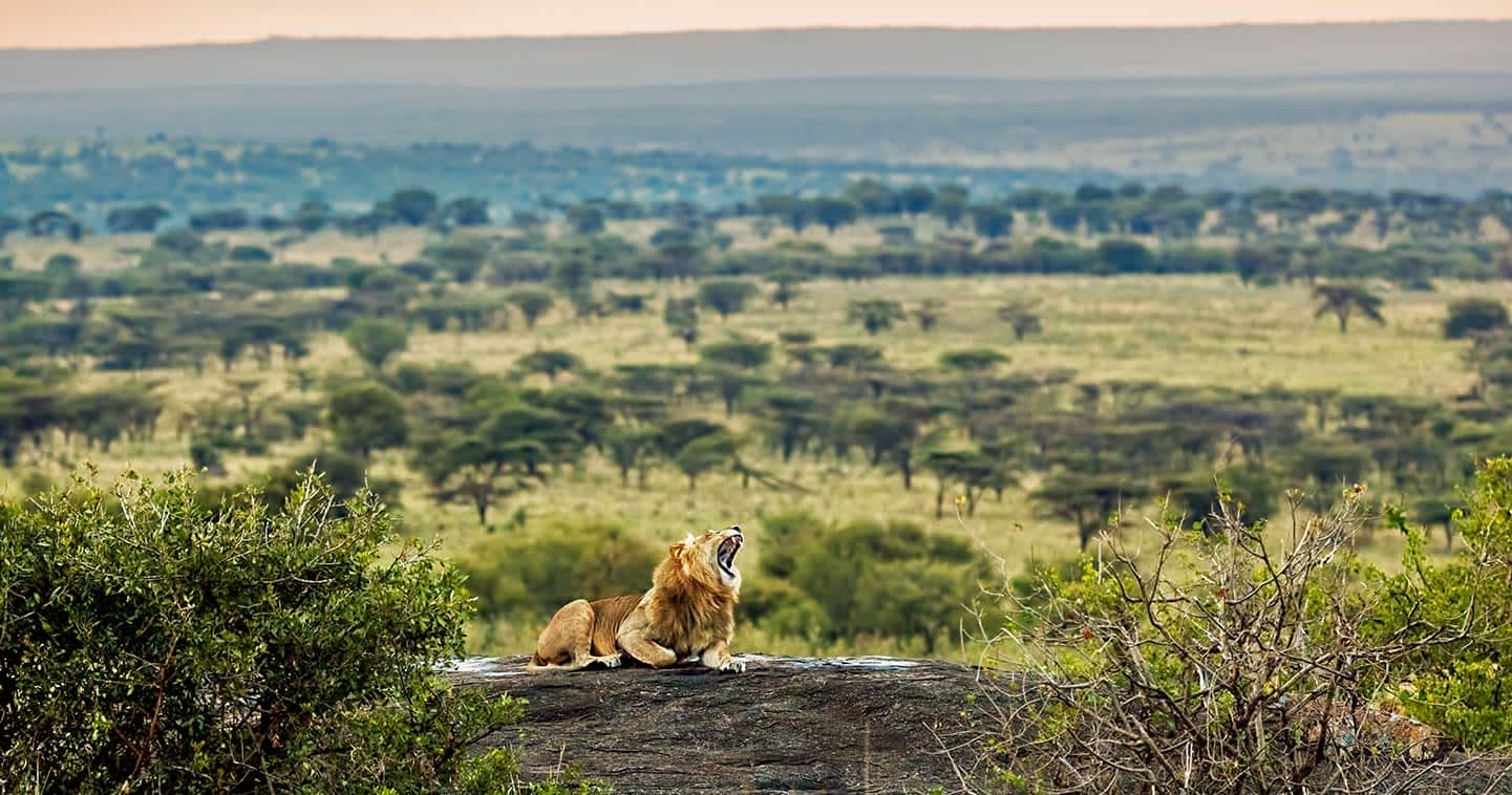 serengeti_national_park