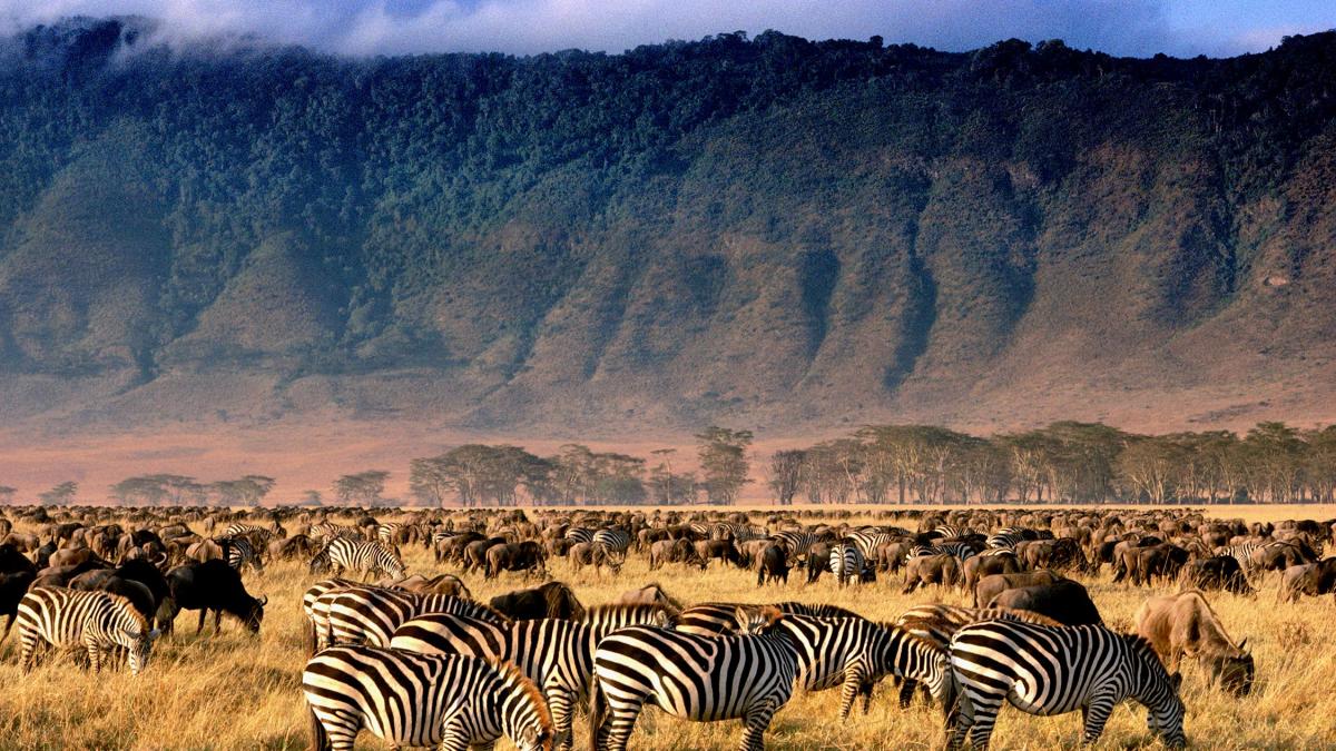 ngorongoro crater