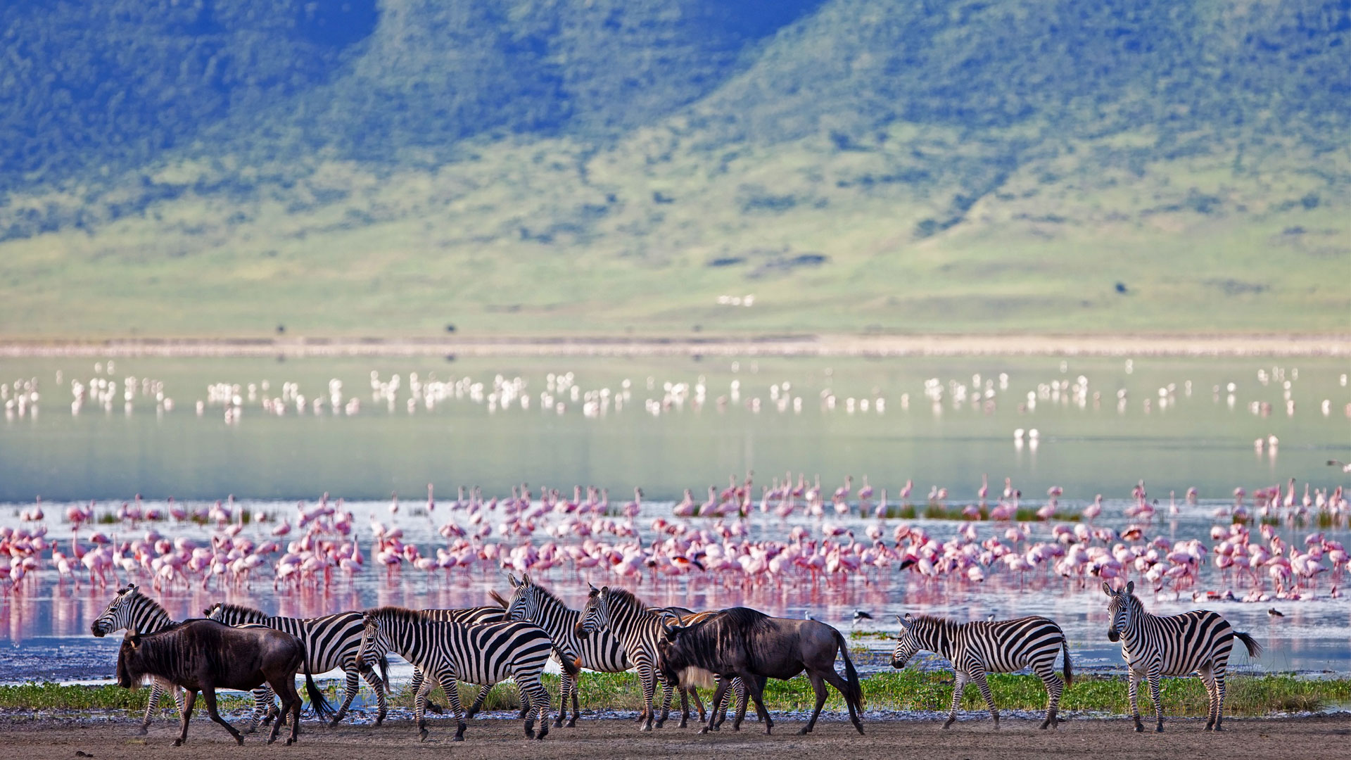 ngorongoro-crater-floor