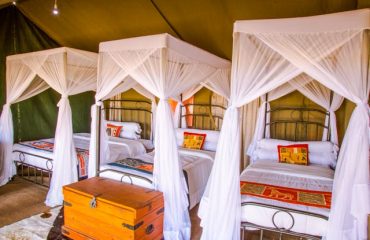 tripple-room-Heritage-Camp