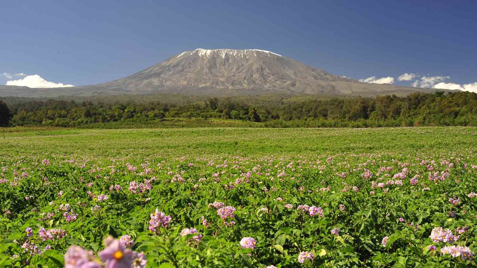 Kilimanjaro_Mountain_Tanzania_Guide_To_Tanzania_Safari.