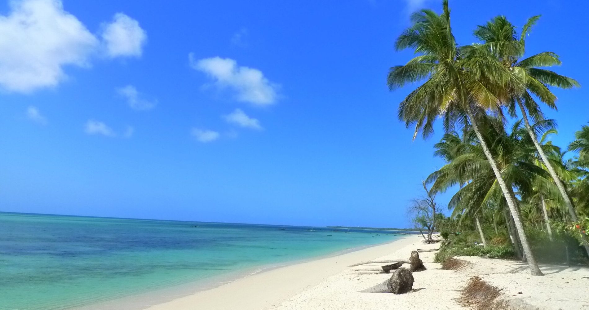 Mafia_Island_Tanzania_Safari_Guide