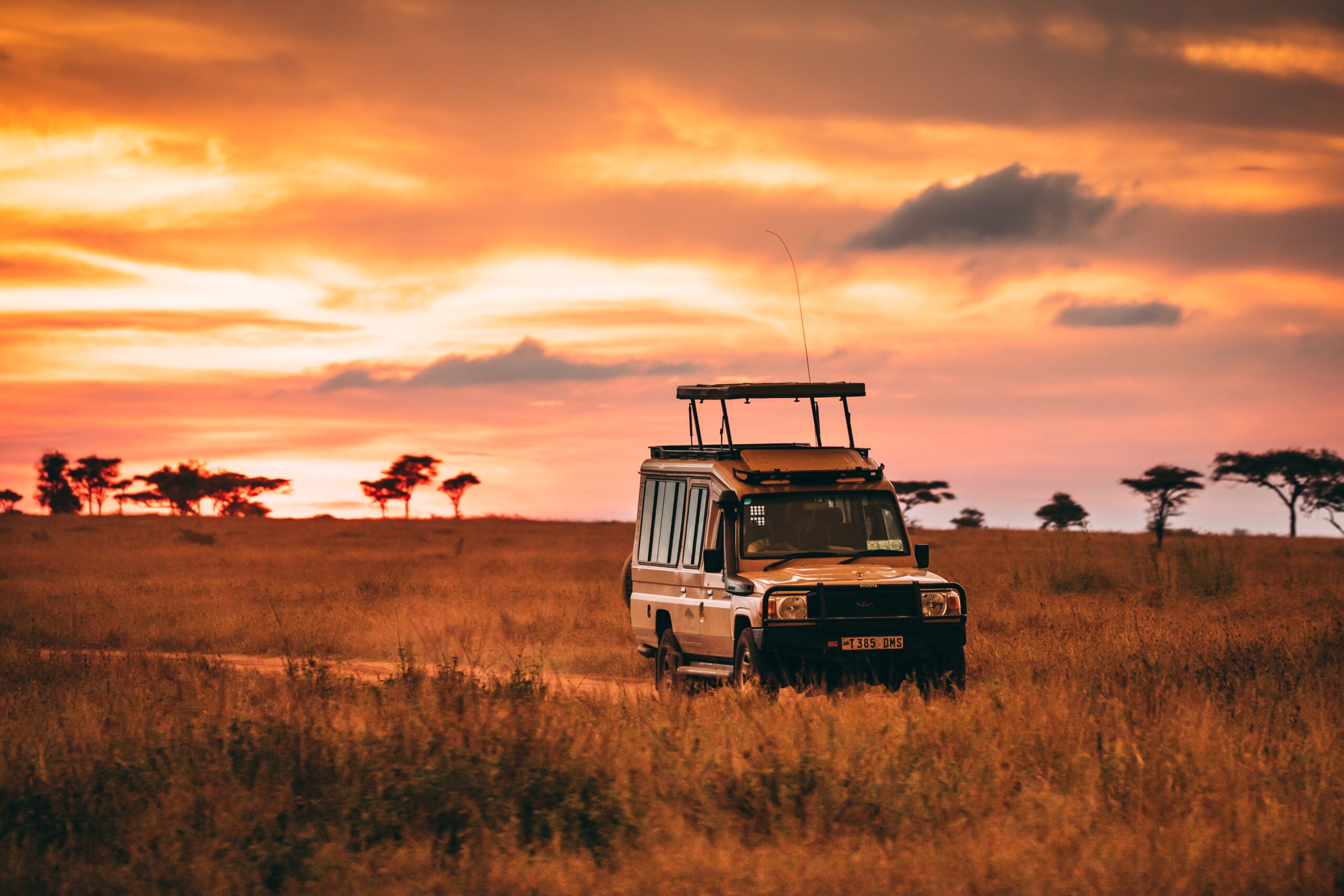 Serengeti National Park_Travel Booking Guide Tanzania