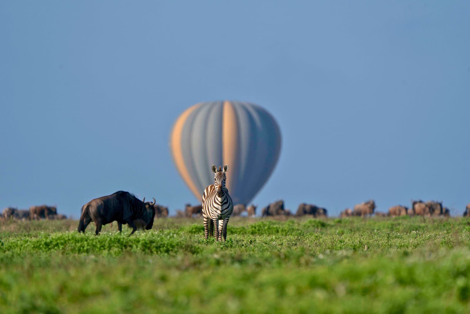 serengeti_national_park
