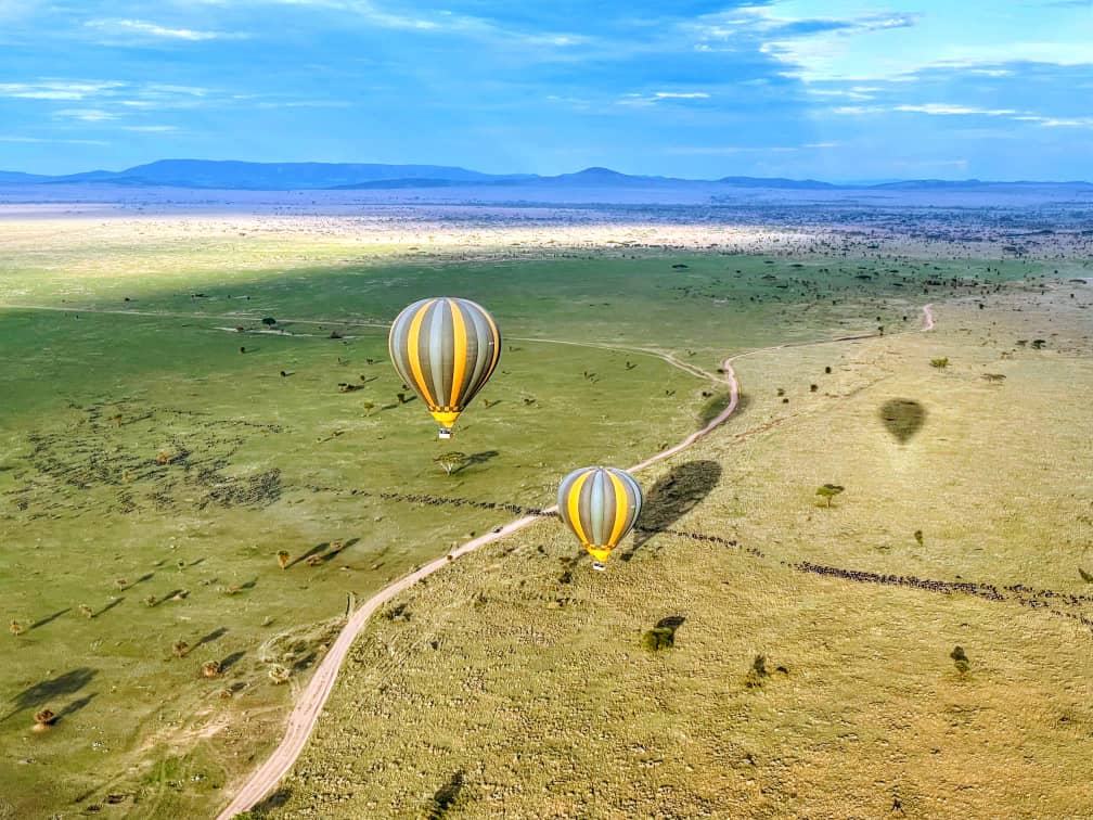 serengeti ballon
