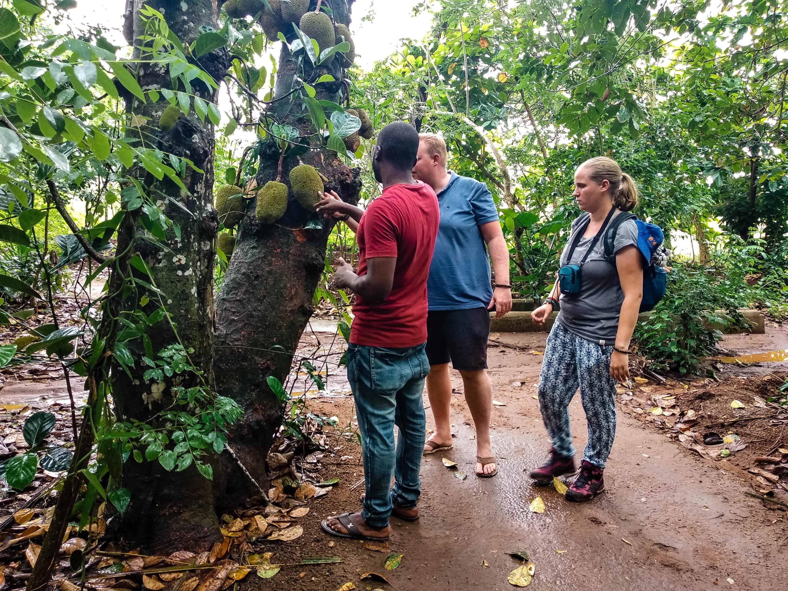 Spice Tour In Tanzania