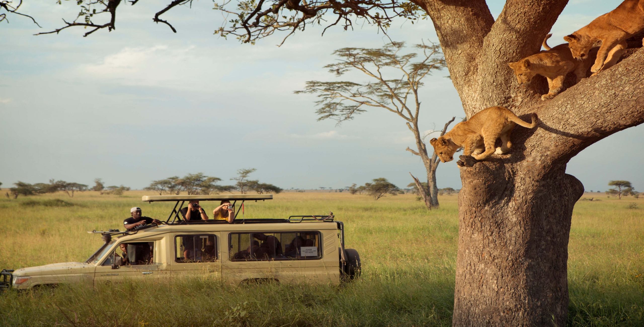 game drive in the serengeti tanzania