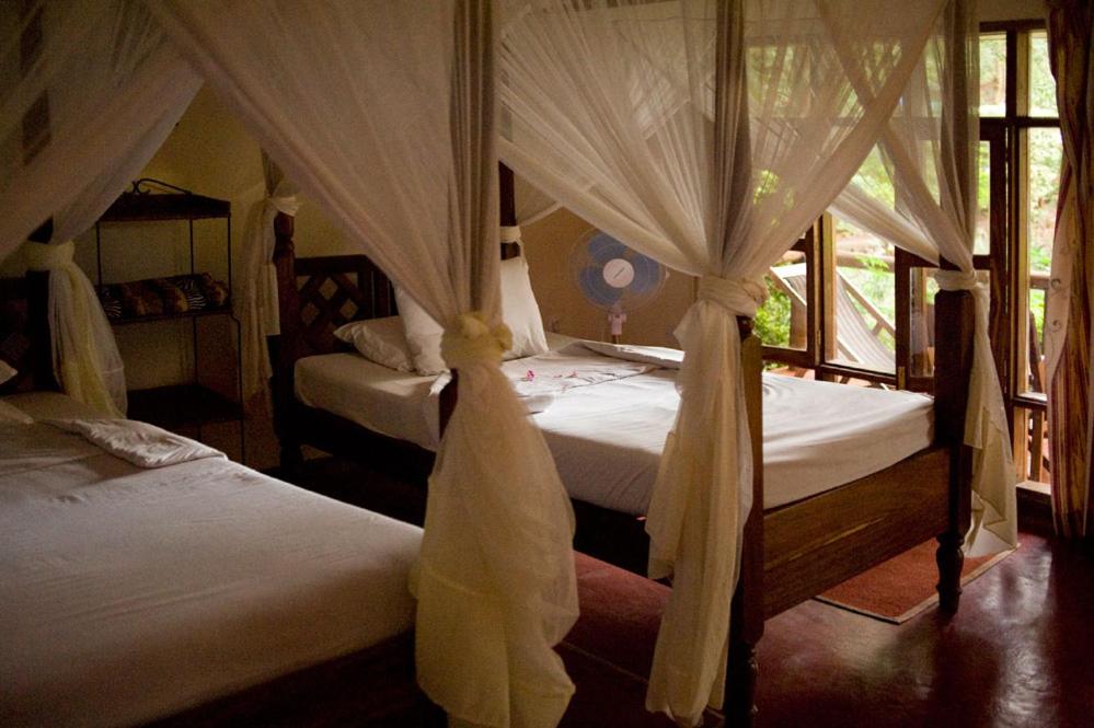 Crater Rim View Inn twin Room