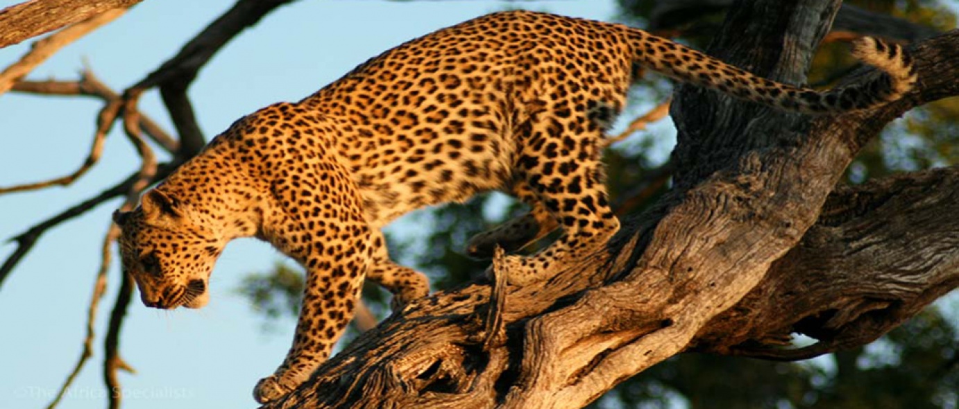 Nyerere National Park Tanzania