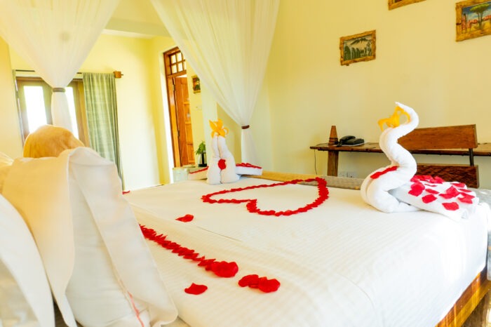 Weru Weru River Lodge double room