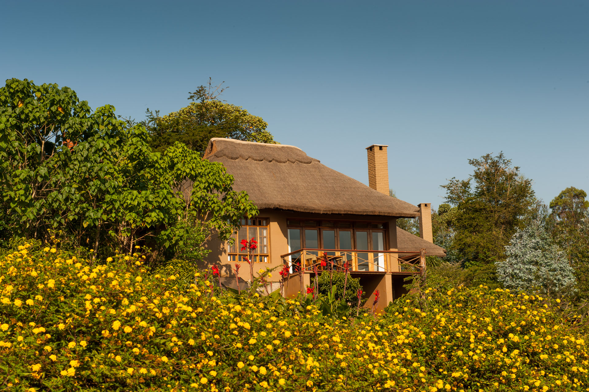 kitela lodge Tanzania Travel booking guide