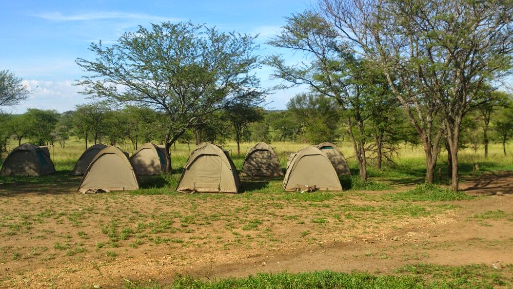 seronera campsite