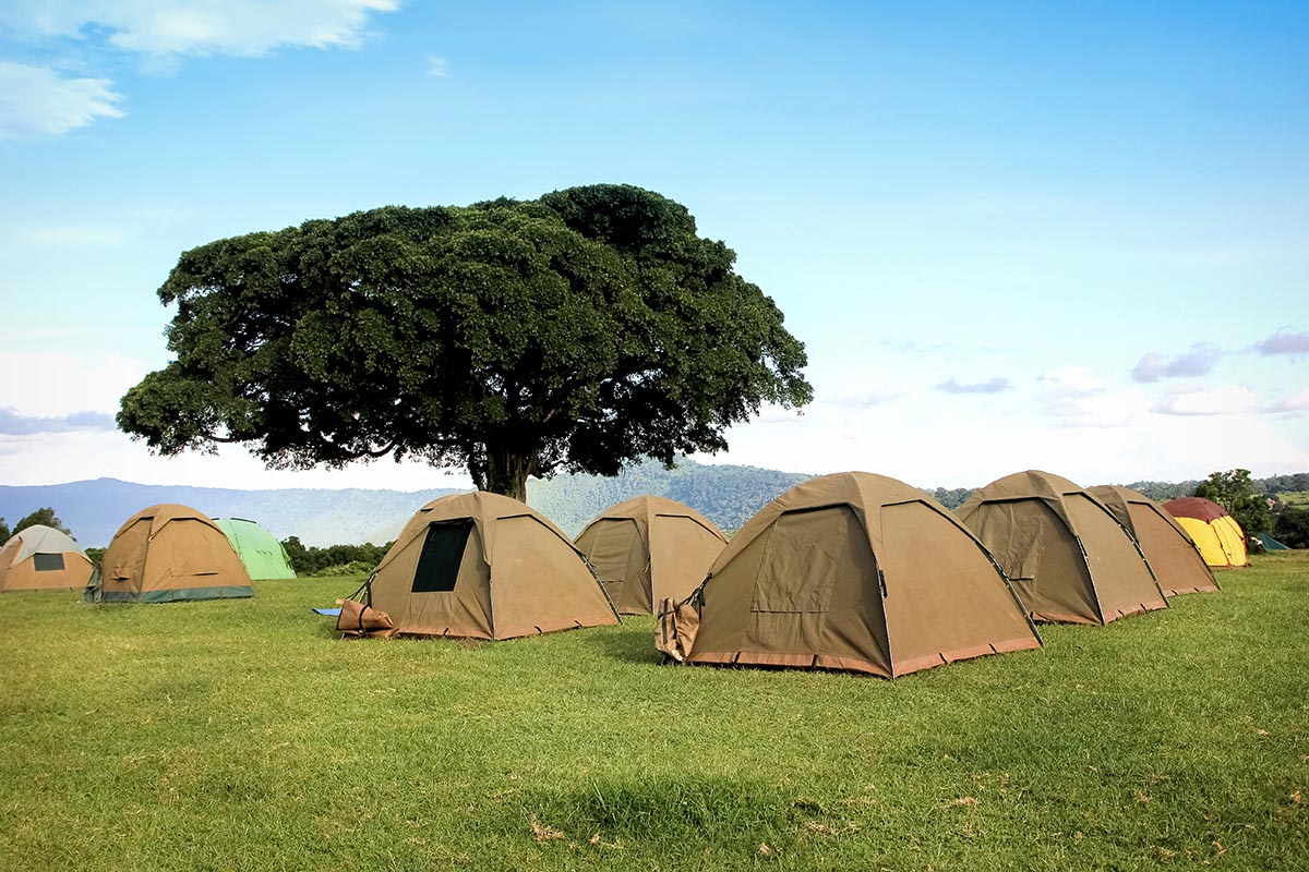 simba campsite Ngorongoro travel booking guide