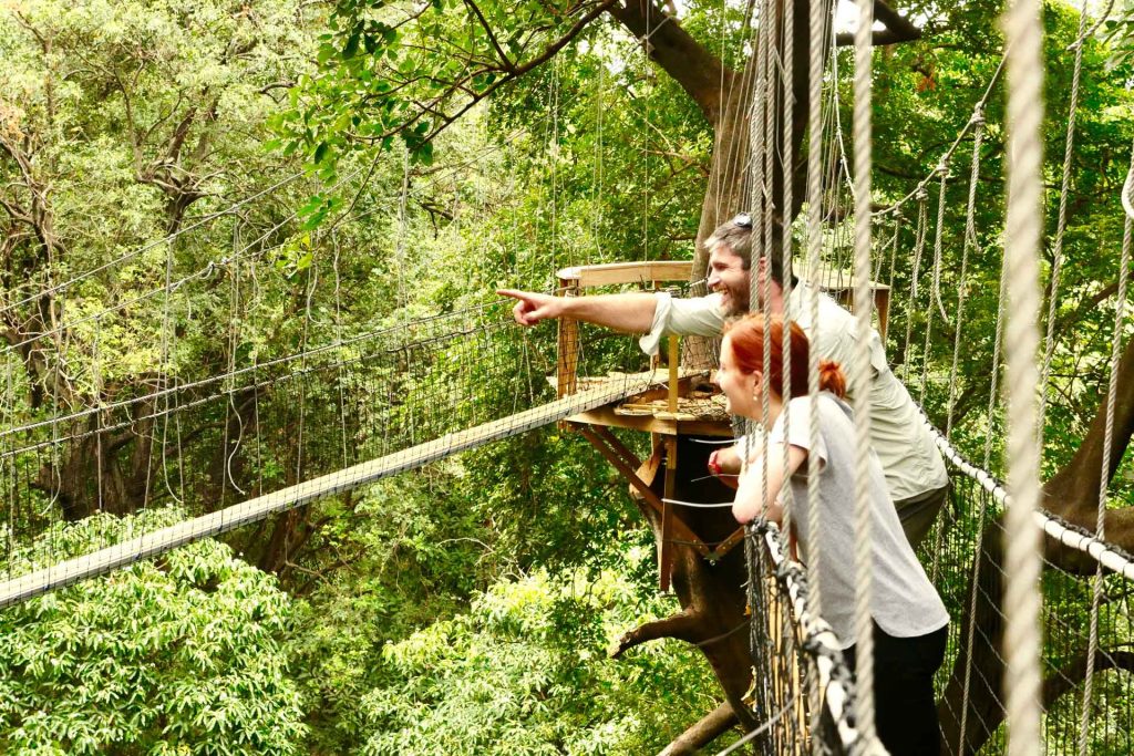 Lake Manyara Treetop Walkway