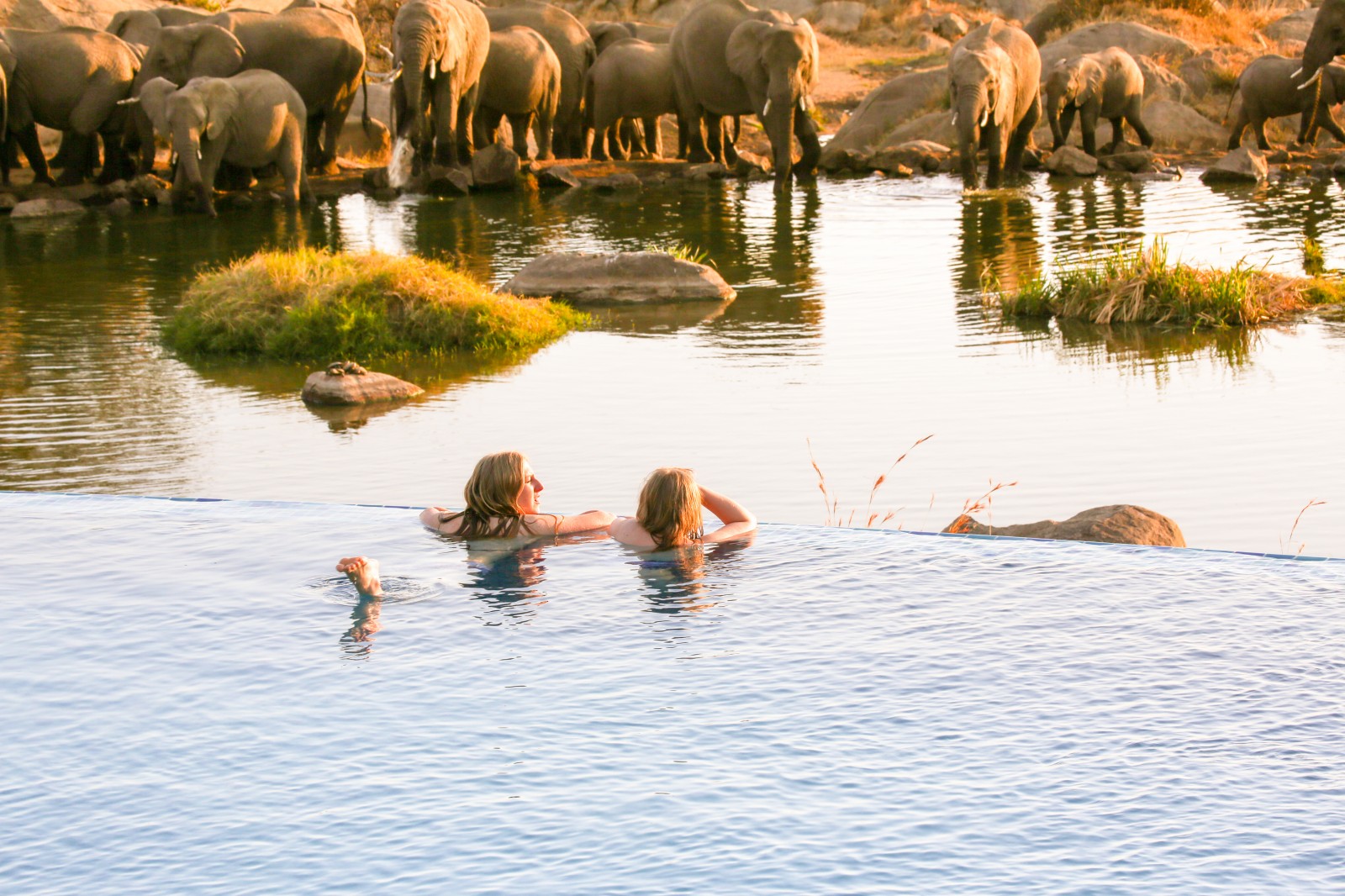 Four Seasons Safari Lodge Serengeti – Central Serengeti Travel booking guide Four Seasons Safari Lodge Serengeti – Central Serengeti Travel booking guide