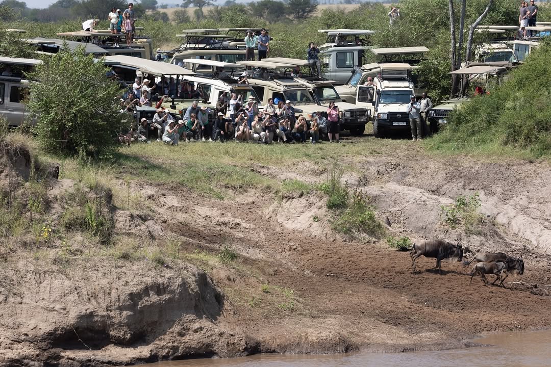 Mass Tourism In Tanzania Mass Tourism In Tanzania
