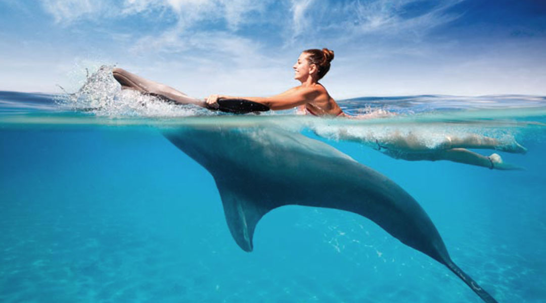 Kizimkazi dolphin tour travel booking guide Tanzania