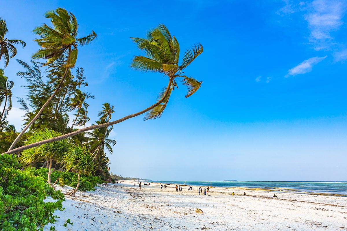 Matemwe & Kiwengwa Beach Escape