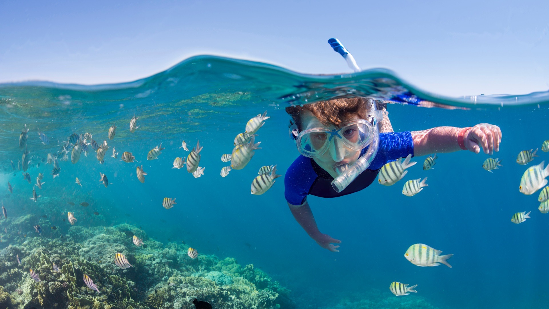 Mnemba Island – Snorkeling