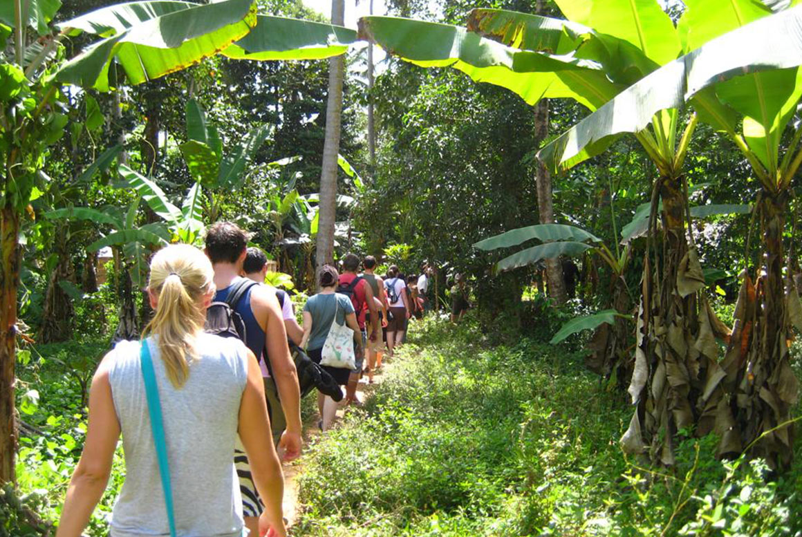 Spice Farm Tour Visit one of Zanzibar travel booking guide tanzania zanzibar
