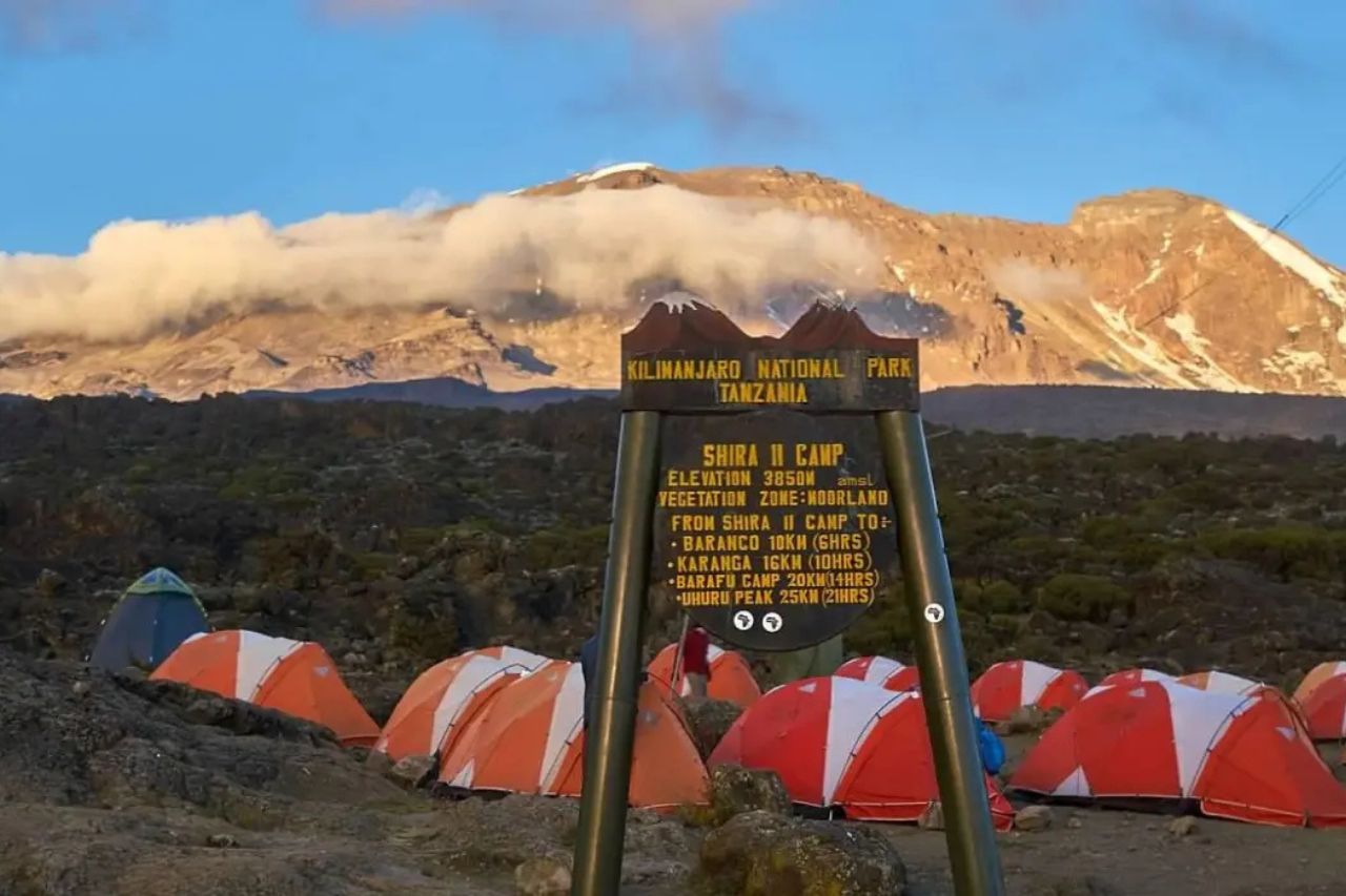 Shira Camp ( m) kilimanjaro travel booking guide