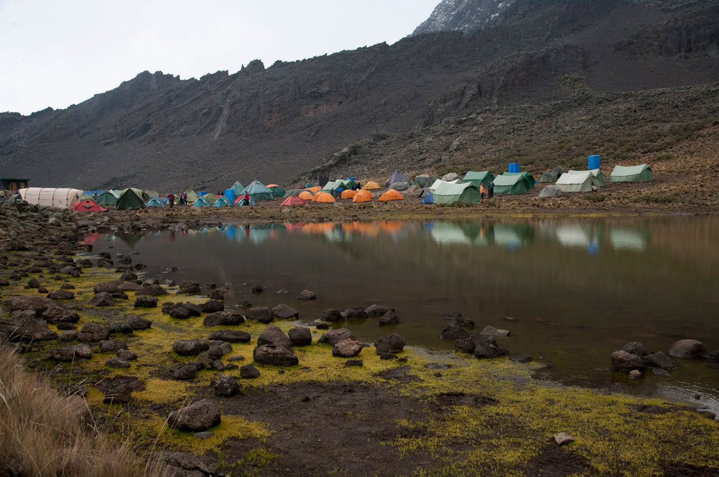 mawenzi tarn camp travel booking guide Rongai Route Kilimanjaro